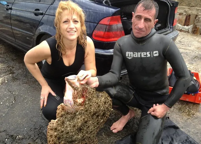 Szálloda Zafo Szinemorec